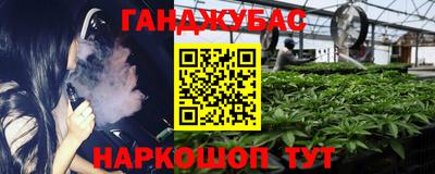 гидра Аргун