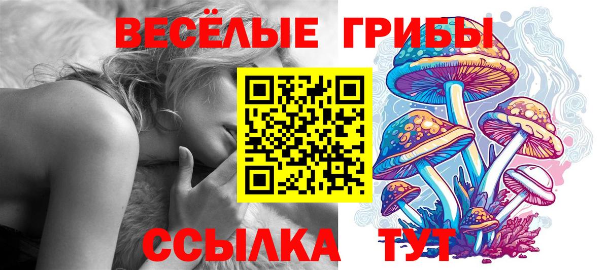 Галлюциногенные грибы Psilocybe  Вход с VPN  Псилоцибиновые грибы прущие грибы  Артёмовский 